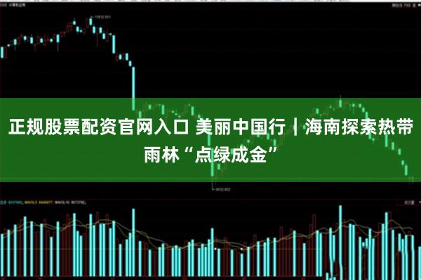 正规股票配资官网入口 美丽中国行｜海南探索热带雨林“点绿成金”